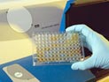 WADA: Самыми "грязными" видами спорта являются бокс и тяжелая атлетика
