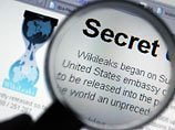  WikiLeaks,    ,   251287        