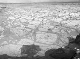 Находка сделала в области Марса Yellowknife Bay, где Curiosity снимал круговую панораму. На одном из снимков как раз и запечатлена аномалия, которую вскоре назвали "цветком"
