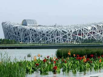 Олимпийский стадион в Пекине. Фото AFP
