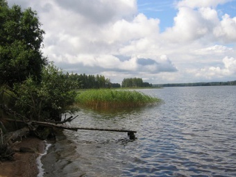 Озеро Велье. Фото Александра Котельникова с сайта velyo.ru