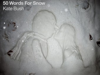     "50 Words For Snow"