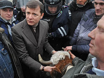 Олег Ляшко и корова. Фото с личной страницы в Facebook