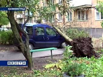 Последствия шторма в Калининграде. Архивный кадр телеканала "Россия"