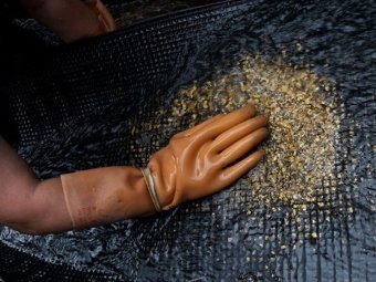 Добыча шлихового золота. Фото с сайта cetki.com