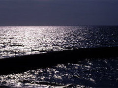 Фотография с сайта www.palmyria.co.uk