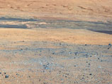 Curiosity        ,  , 17 ,           