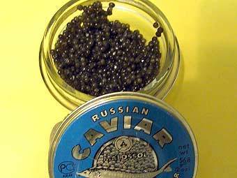 ,    caviaremptor.org
