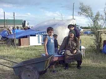  ,   , 