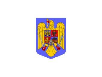     wikipedia.org