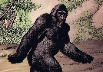    steveniles.com