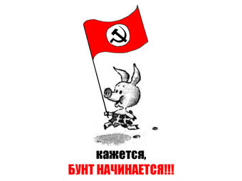  "".    nbp-info.ru 