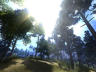  DirectX 10   guru3d.com