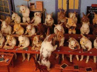 " "  .    taxidermy4cash.com