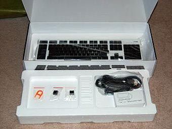 Optimus Maximus.       eBay
