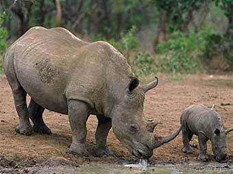   : www.south-africa-tours-and-travel.com