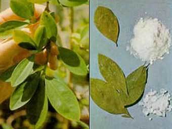 ,    .   : www.drugs.indiana.edu 