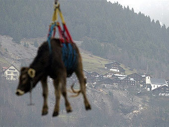  AFP
