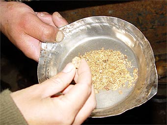    goldenunion.net