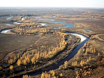 .    gazprom.com