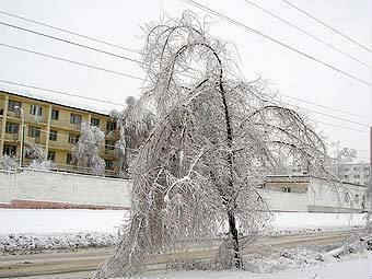 .    volgograd.ru