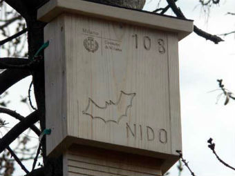    .    comune.milano.it