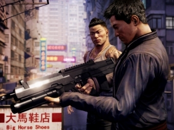   Sleeping Dogs