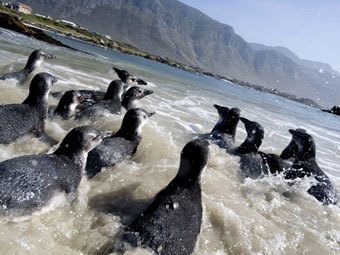   -.  ©AFP